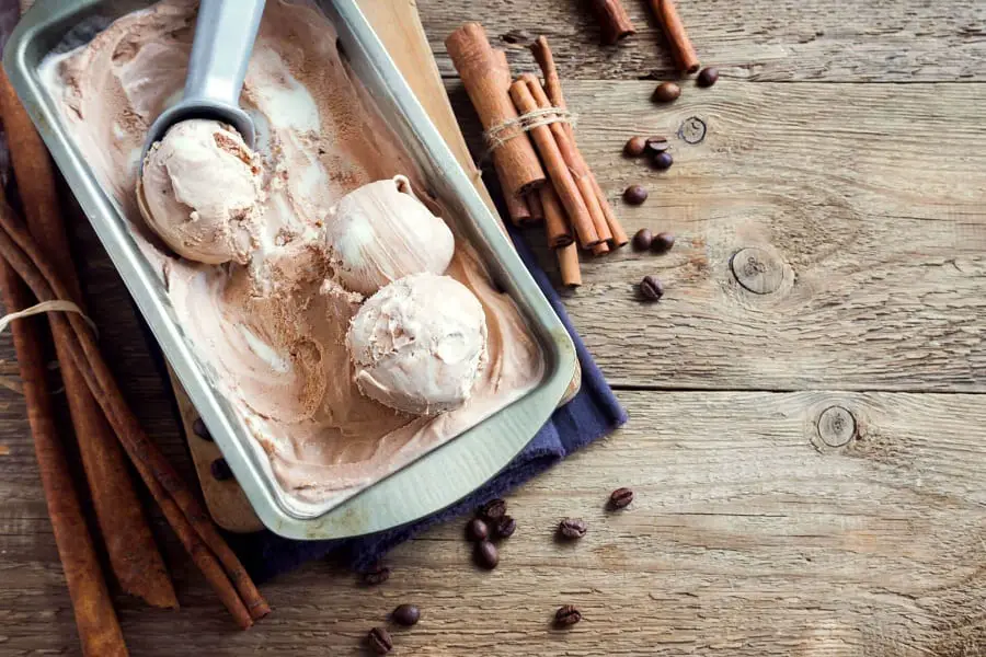 Best Premium Ice Cream Makers: A Sweet Treat at Home